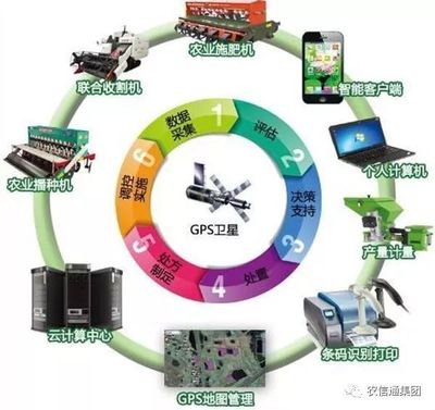 農(nóng)業(yè)大數(shù)據(jù)賦能現(xiàn)代農(nóng)業(yè) 計算機(jī)應(yīng)用驅(qū)動下的跨越式發(fā)展